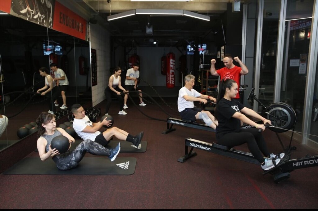 Hybrid Training